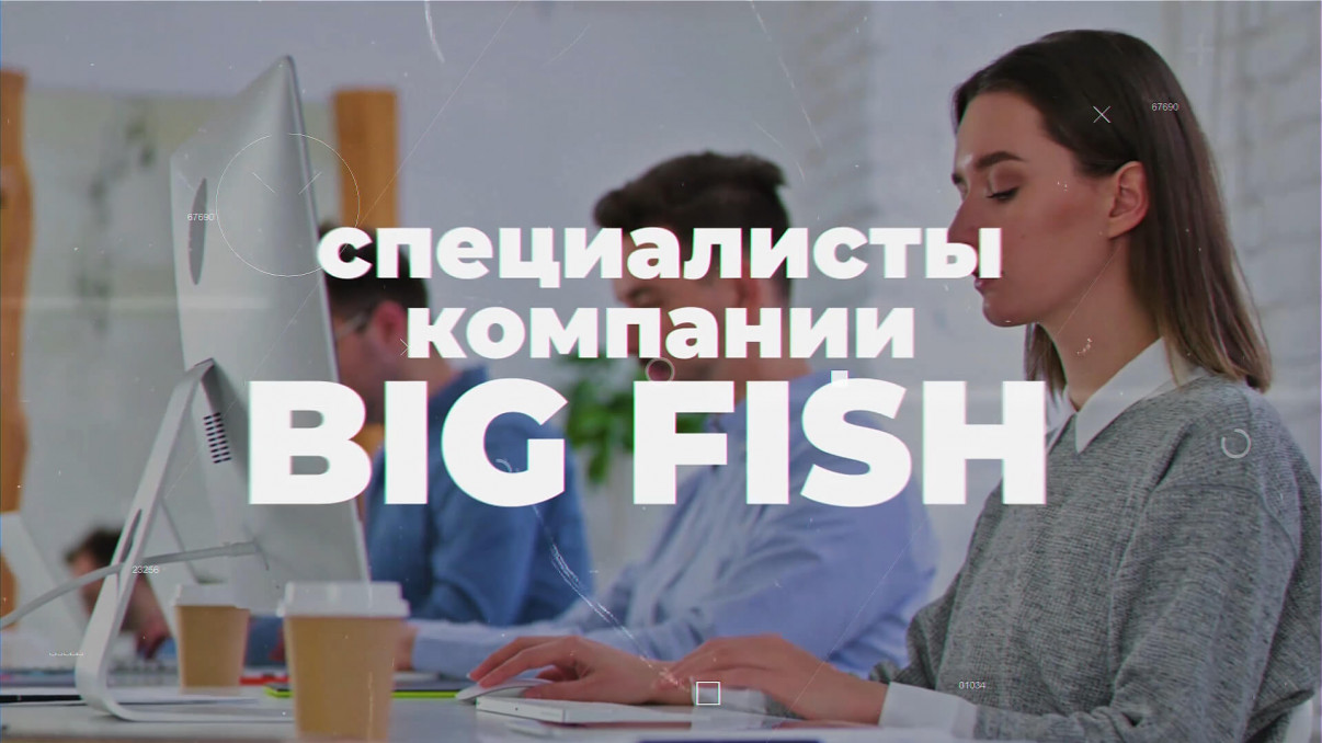 SEO-продвижение сайтов — инвестиция в рост, а не расход